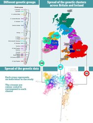 IrishDNA.jpg